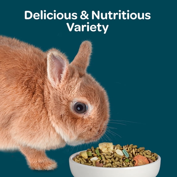 Kaytee Forti-Diet Nature's Harvest Rabbit Food, 5 Pounds