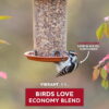 Vibrant Life Economy Blend Wild Bird Seed with Black Oil Sunflower, 20 lb.
