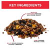 Vibrant Life Economy Blend Wild Bird Seed with Black Oil Sunflower, 20 lb.