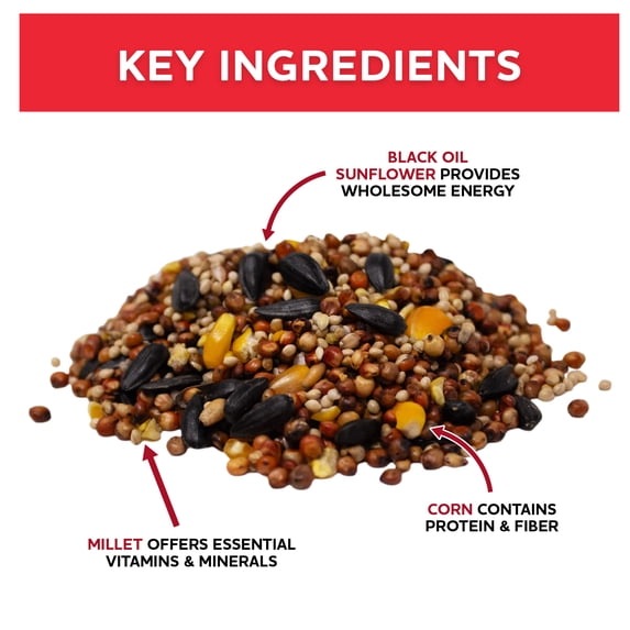Vibrant Life Economy Blend Wild Bird Seed with Black Oil Sunflower, 20 lb.