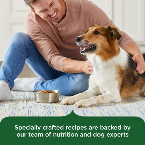 d2bd194f-2ff3-4192-a59e-9dcd699785e5.c3fb1a24e3ceed67ba5e49c3975d4d52 Rachael Ray Nutrish Adult Dry Dog Food Real Chicken & Veggies Recipe, 13 lb.
