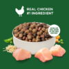 fc7d0b31-43dc-4552-b058-dbd033216d7a.b04c9482ee1de0e5e8dcf7b7c2998d67 Rachael Ray Nutrish Adult Dry Dog Food Real Chicken & Veggies Recipe, 13 lb.