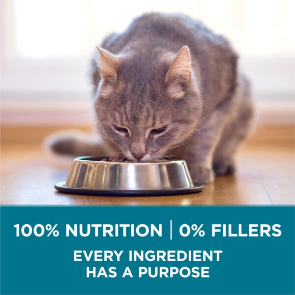 Purina ONE Tender Selects Blend With Real Salmon Digestive Care Natural Dry Cat Food, 7 lb.